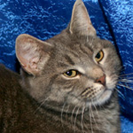 ������